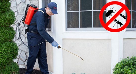 Siverek Bit İlaçlama böcek ilaçlama ve haşere kontrolü — ilaclama-tr.com